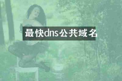 最快dns公共域名