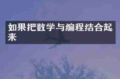 如果把数学与编程结合起来