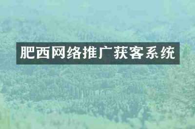 肥西网络推广获客系统