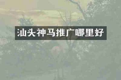 汕头神马推广哪里好
