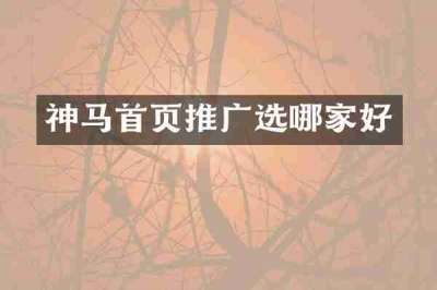 神马首页推广选哪家好