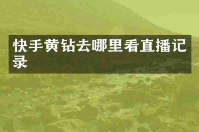 快手黄钻去哪里看直播记录