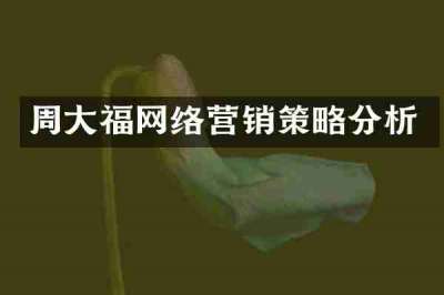 周大福网络营销策略分析