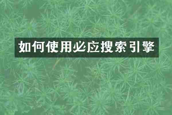 如何使用必应搜索引擎