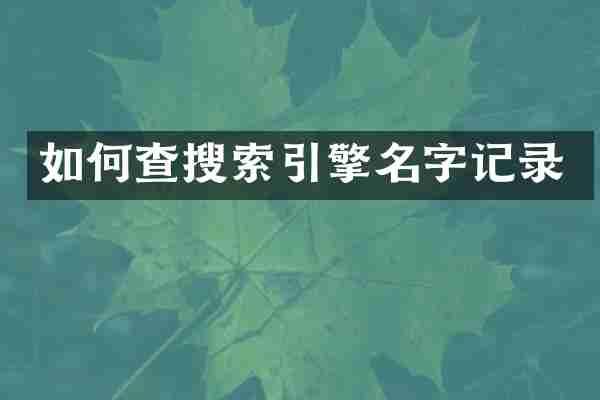 如何查搜索引擎名字记录