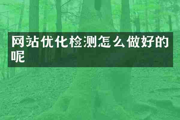 网站优化检测怎么做好的呢