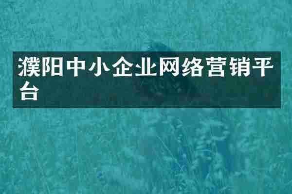 濮阳中小企业网络营销平台