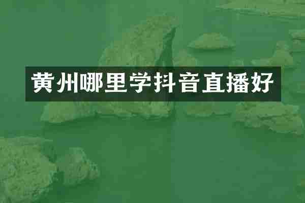 黄州哪里学抖音直播好