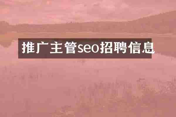 推广主管seo招聘信息
