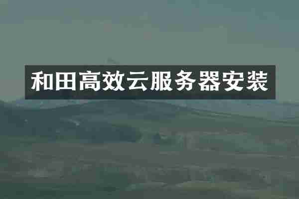 和田高效云服务器安装