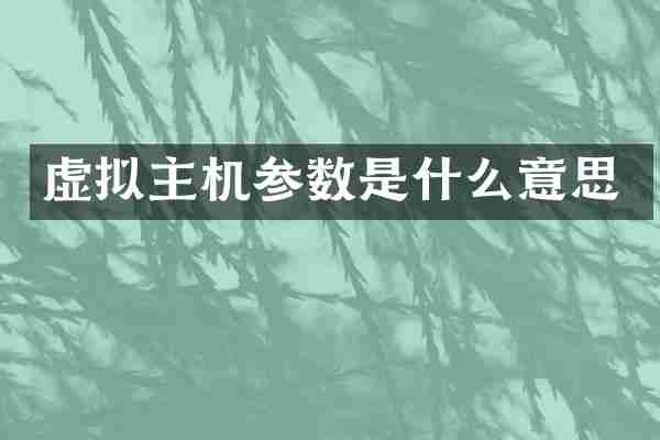 虚拟主机参数是什么意思