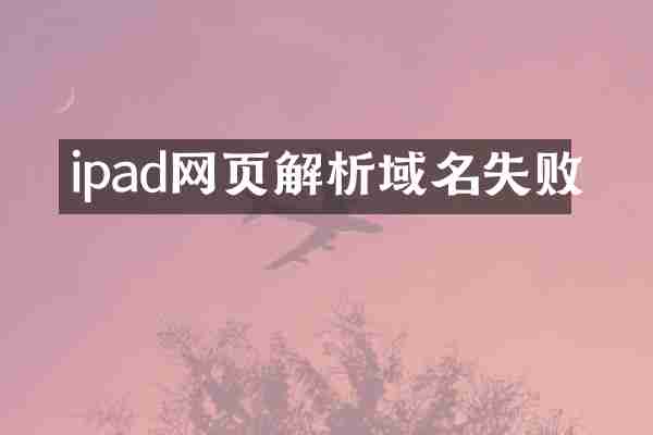 ipad网页解析域名失败