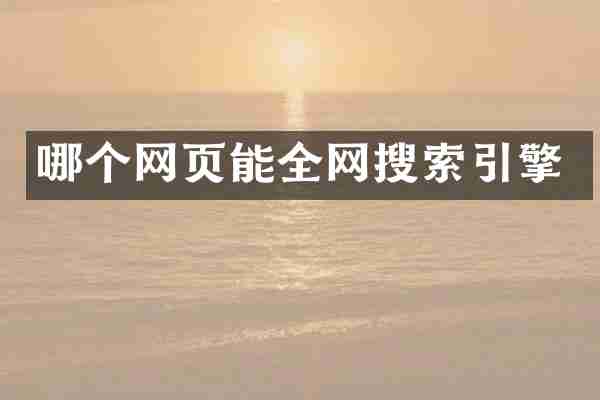 哪个网页能全网搜索引擎