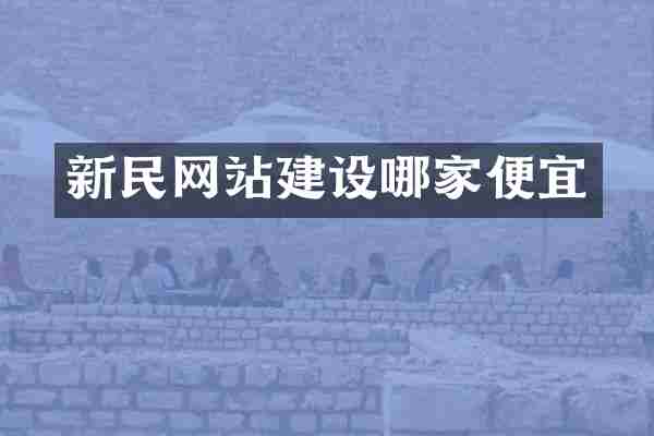 新民网站建设哪家便宜