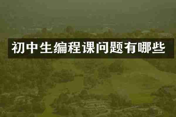 初中生编程课问题有哪些
