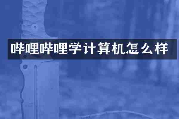 哔哩哔哩学计算机怎么样