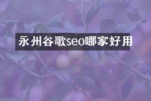 永州谷歌seo哪家好用