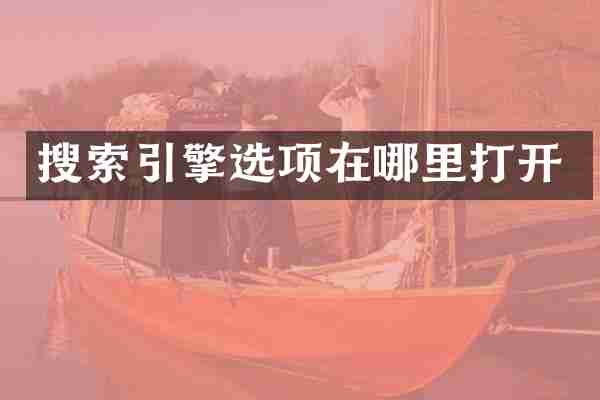 搜索引擎选项在哪里打开