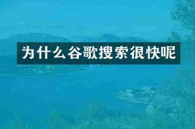 为什么谷歌搜索很快呢