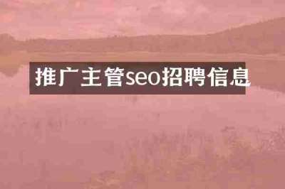 推广主管seo招聘信息