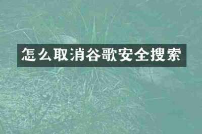 怎么取消谷歌安全搜索