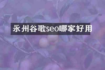 永州谷歌seo哪家好用
