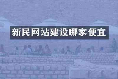 新民网站建设哪家便宜