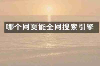 哪个网页能全网搜索引擎