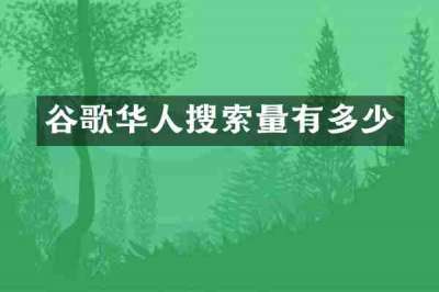 谷歌华人搜索量有多少