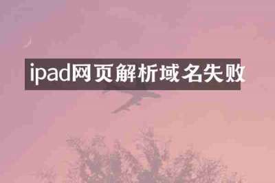 ipad网页解析域名失败