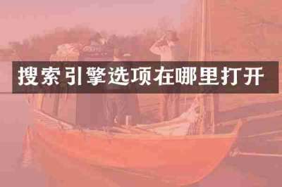 搜索引擎选项在哪里打开