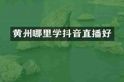 黄州哪里学抖音直播好