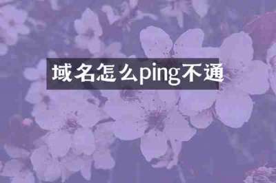 域名怎么ping不通