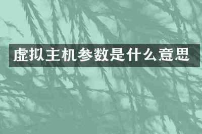 虚拟主机参数是什么意思