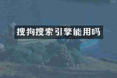 搜狗搜索引擎能用吗