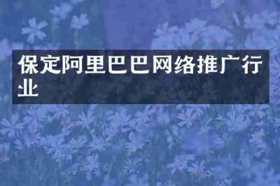 保定阿里巴巴网络推广行业