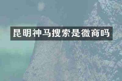 昆明神马搜索是微商吗