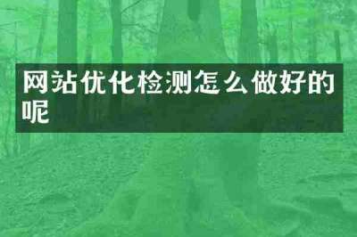 网站优化检测怎么做好的呢
