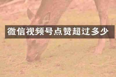微信视频号点赞超过多少