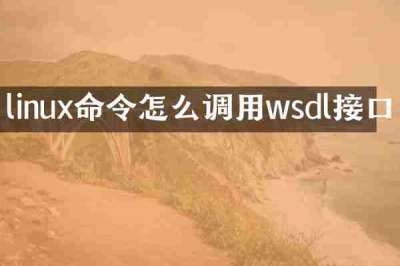 linux命令怎么调用wsdl接口