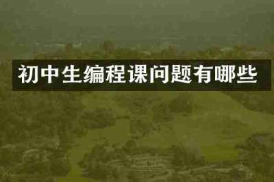 初中生编程课问题有哪些
