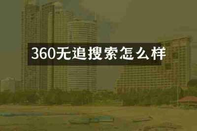 360无追搜索怎么样