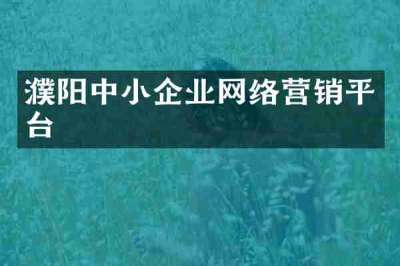濮阳中小企业网络营销平台