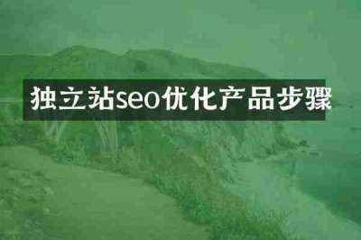 独立站seo优化产品步骤