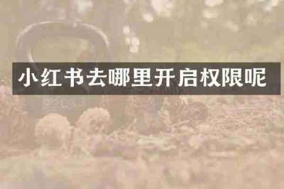 小红书去哪里开启权限呢