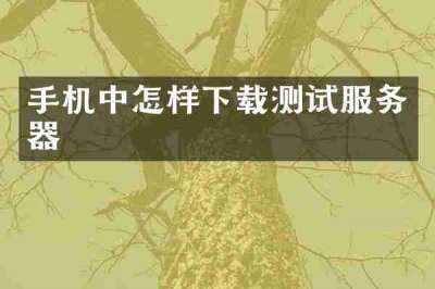 手机中怎样下载测试服务器
