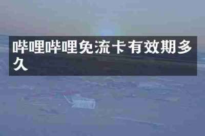 哔哩哔哩免流卡有效期多久
