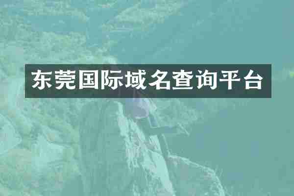 东莞国际域名查询平台