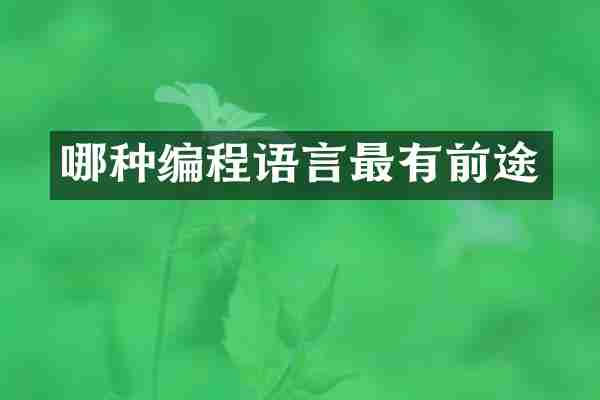 哪种编程语言最有前途