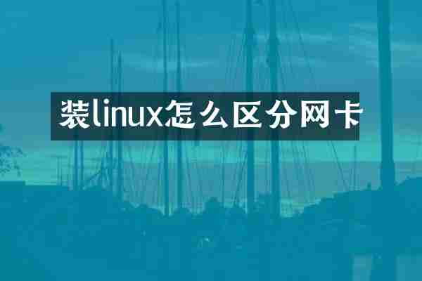 装linux怎么区分网卡